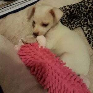 Meet your Posher, Peggy